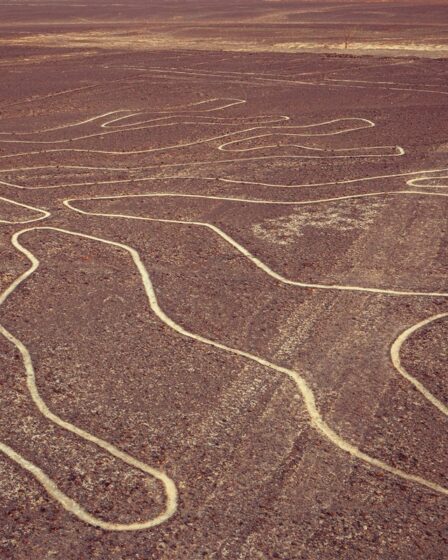 lignes de Nazca