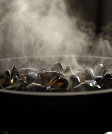 Les mystères de combien de moules dans 1 litre enfin dévoilés