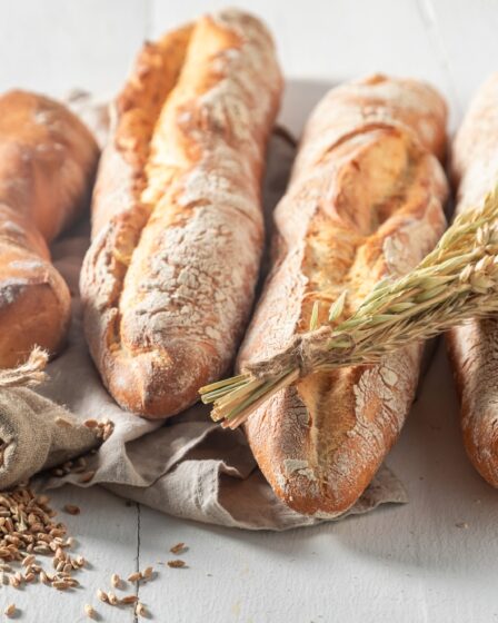 taille baguette tradition