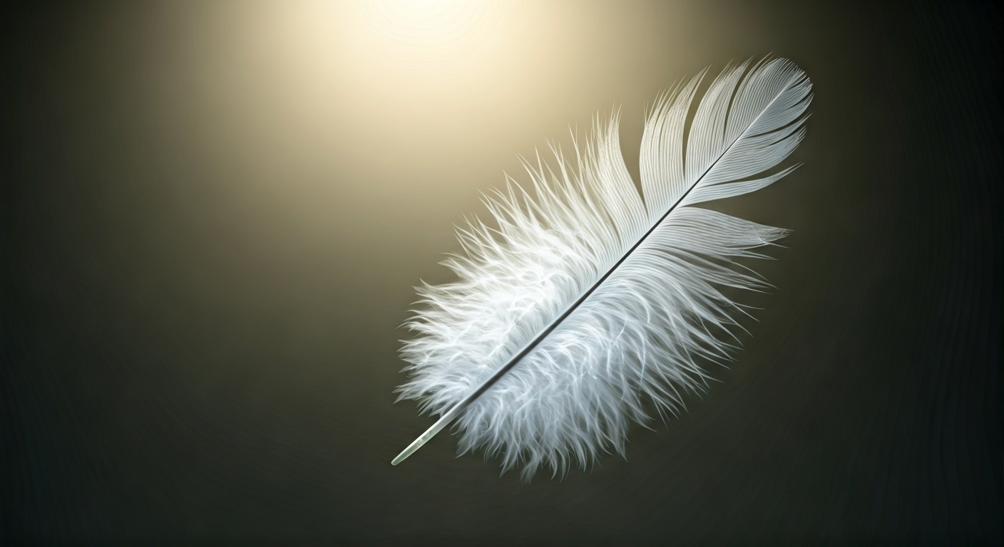plume blanche et grise