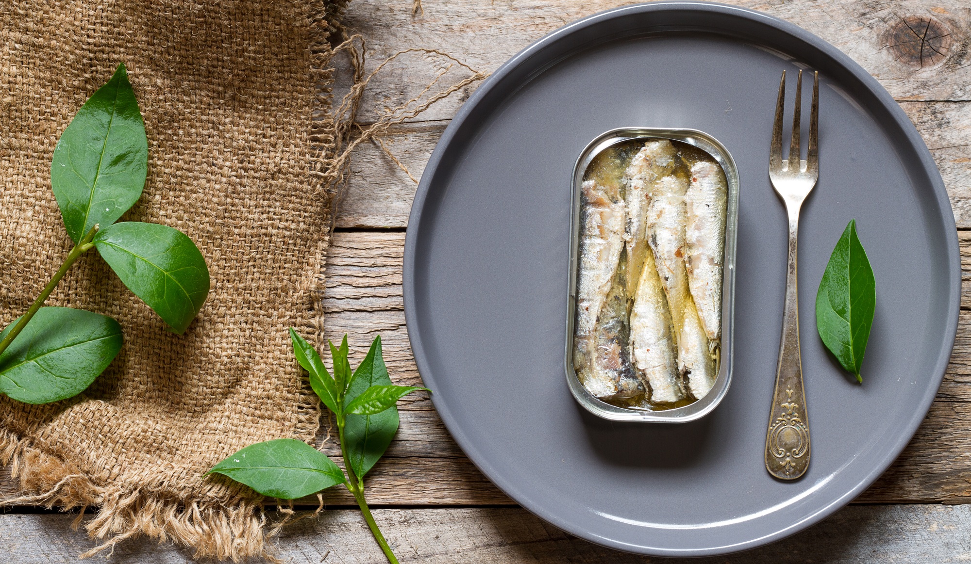 sardines en conserve